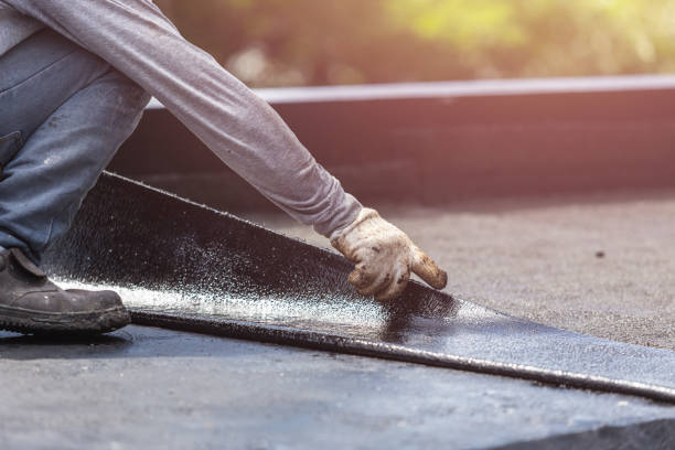 Professional Interior Drainage System technician working in Atlas, MI